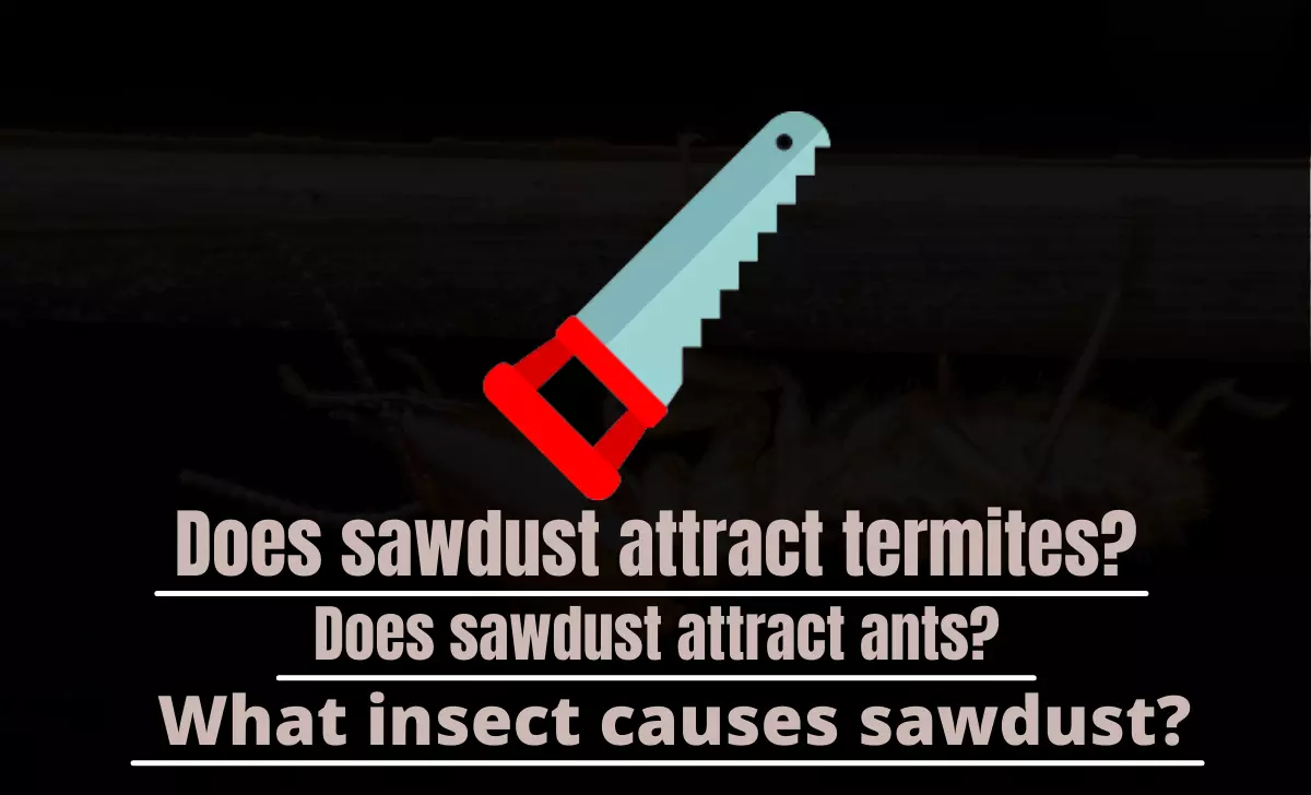 Does sawdust attract termites