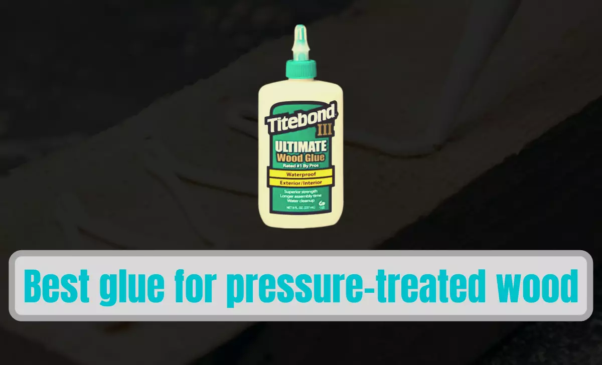 Best glue for pressure-treated wood