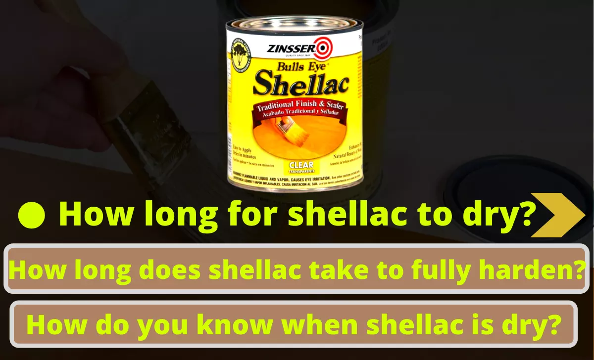 How long for shellac to dry?