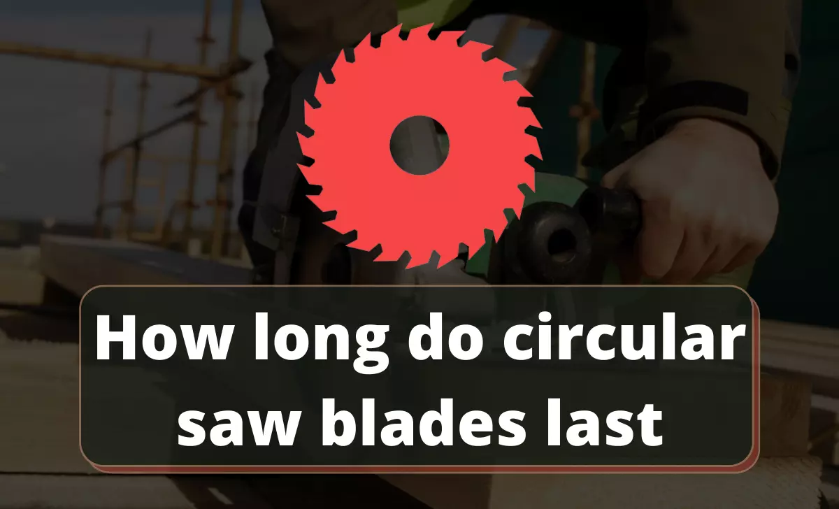 How long do circular saw blades last
